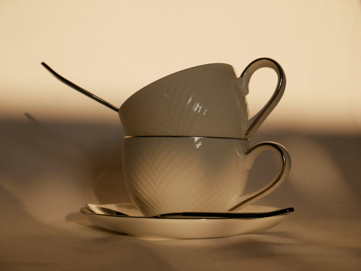 Bone China Silver Rim Tea Cup Set